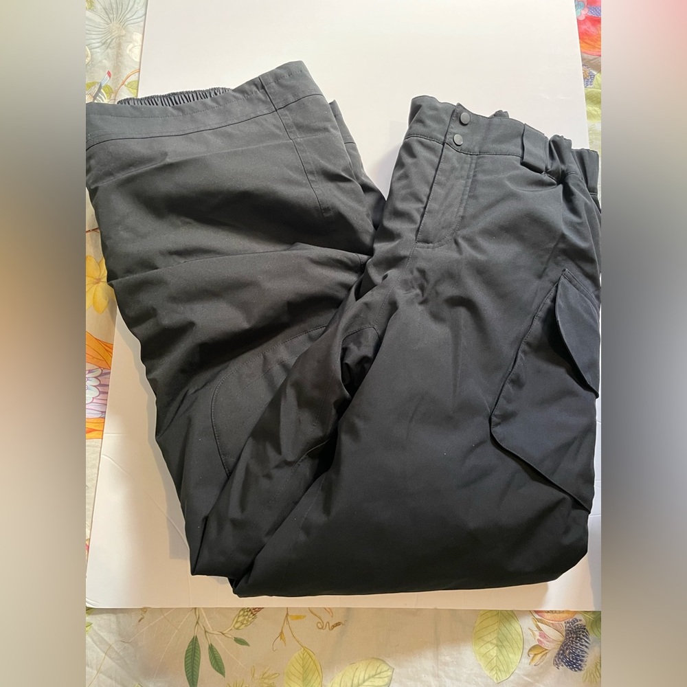 Patagonia ski pants new